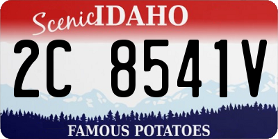 ID license plate 2C8541V