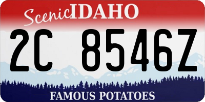 ID license plate 2C8546Z