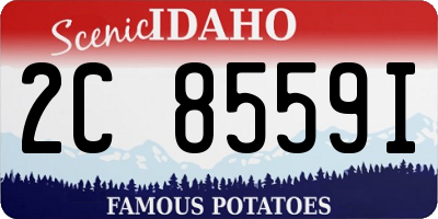 ID license plate 2C8559I