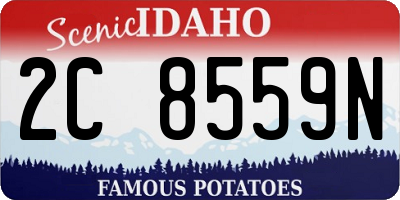 ID license plate 2C8559N