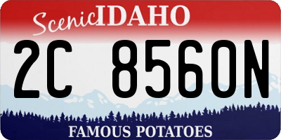 ID license plate 2C8560N