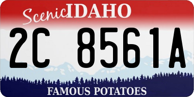 ID license plate 2C8561A
