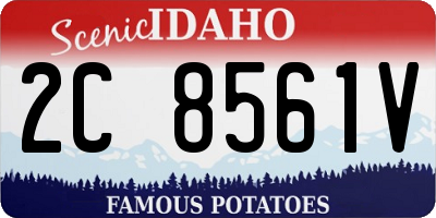 ID license plate 2C8561V