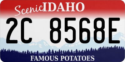 ID license plate 2C8568E