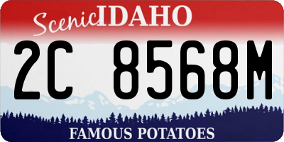 ID license plate 2C8568M