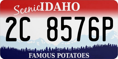 ID license plate 2C8576P