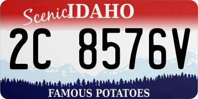 ID license plate 2C8576V