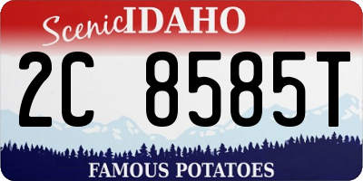 ID license plate 2C8585T