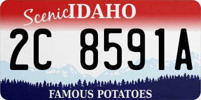 ID license plate 2C8591A
