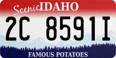 ID license plate 2C8591I