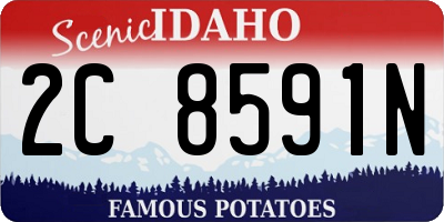 ID license plate 2C8591N