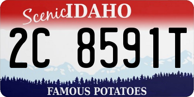 ID license plate 2C8591T