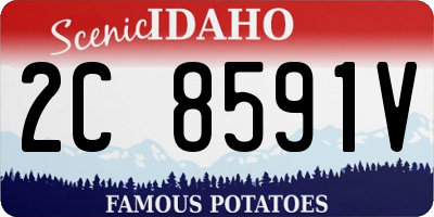 ID license plate 2C8591V