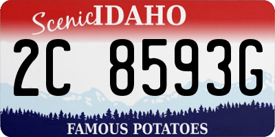 ID license plate 2C8593G
