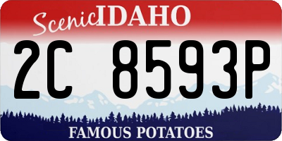 ID license plate 2C8593P