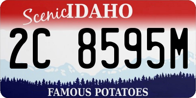 ID license plate 2C8595M
