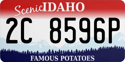 ID license plate 2C8596P