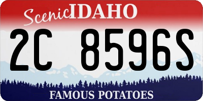 ID license plate 2C8596S