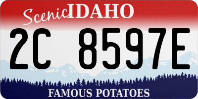ID license plate 2C8597E