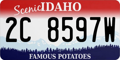 ID license plate 2C8597W