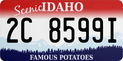 ID license plate 2C8599I