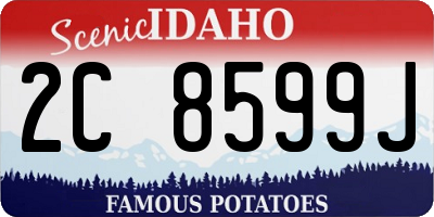 ID license plate 2C8599J