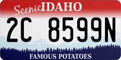 ID license plate 2C8599N