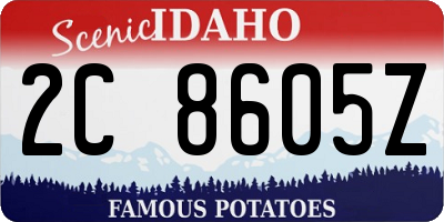ID license plate 2C8605Z