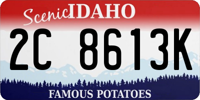 ID license plate 2C8613K