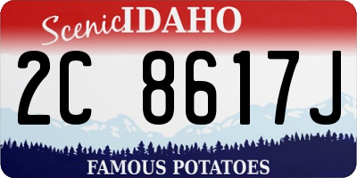 ID license plate 2C8617J