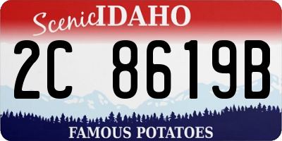 ID license plate 2C8619B
