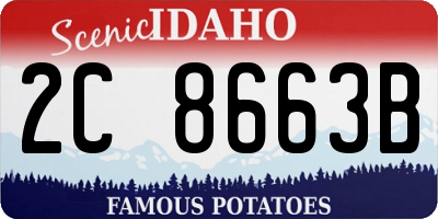 ID license plate 2C8663B
