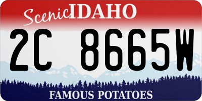 ID license plate 2C8665W