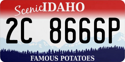 ID license plate 2C8666P