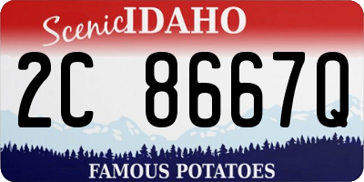 ID license plate 2C8667Q
