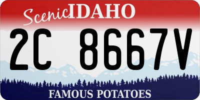 ID license plate 2C8667V