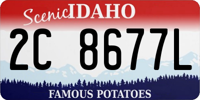 ID license plate 2C8677L