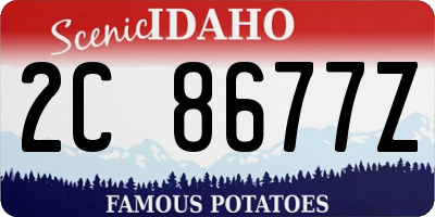 ID license plate 2C8677Z