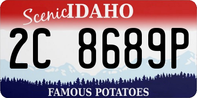 ID license plate 2C8689P