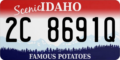 ID license plate 2C8691Q