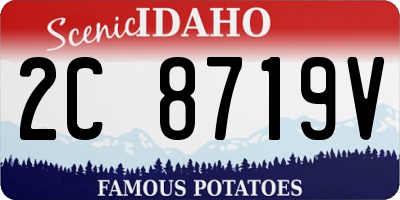 ID license plate 2C8719V