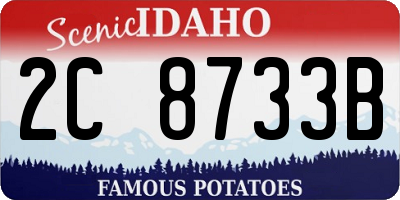 ID license plate 2C8733B