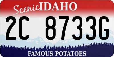 ID license plate 2C8733G