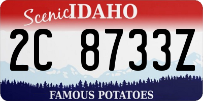 ID license plate 2C8733Z