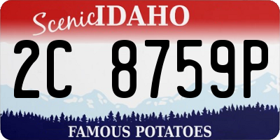 ID license plate 2C8759P
