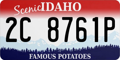 ID license plate 2C8761P