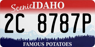 ID license plate 2C8787P