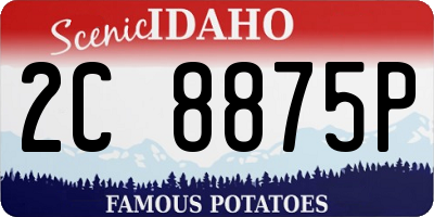 ID license plate 2C8875P