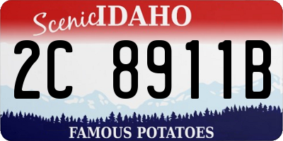 ID license plate 2C8911B
