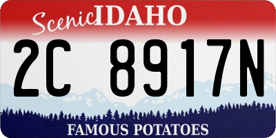 ID license plate 2C8917N